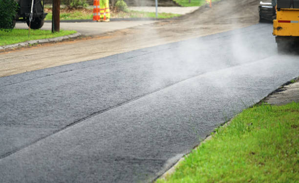 Best Brick Driveway Pavers  in Progreso, TX