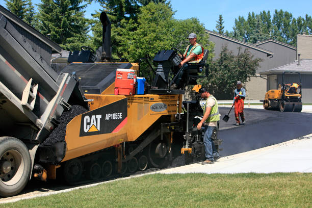 Best Interlocking Driveway Pavers  in Progreso, TX