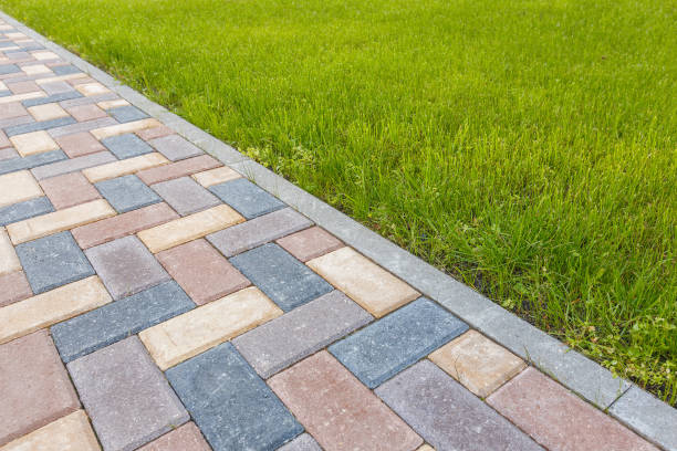 Best Decorative Driveway Pavers  in Progreso, TX